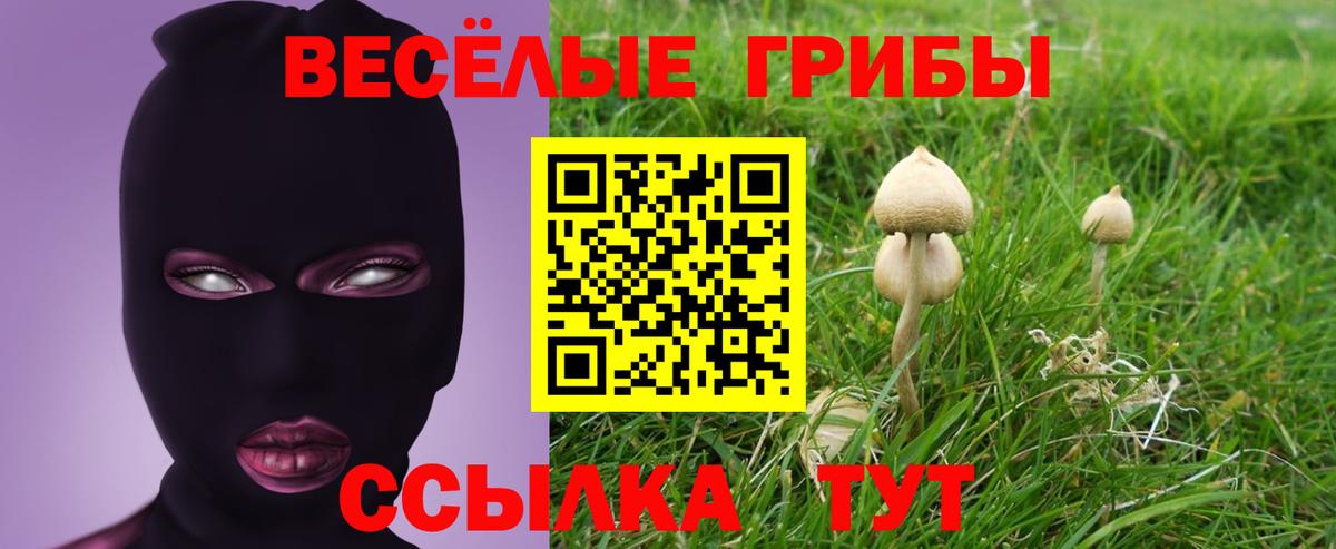 Галлюциногенные грибы мухоморы Ачхой-Мартан